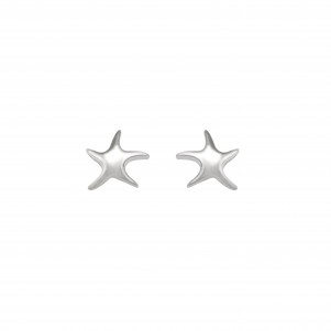 silverline, women, silver, starfish, earrings, with, white, plating,